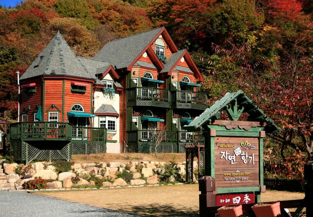 Gyeongju Jy Pension Extérieur photo